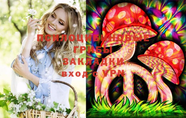 бошки Нефтекумск