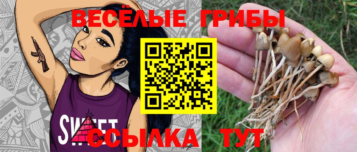Галлюциногенные грибы ЛСД  Вход с VPN  Псилоцибиновые грибы прущие грибы  Фурманов 
