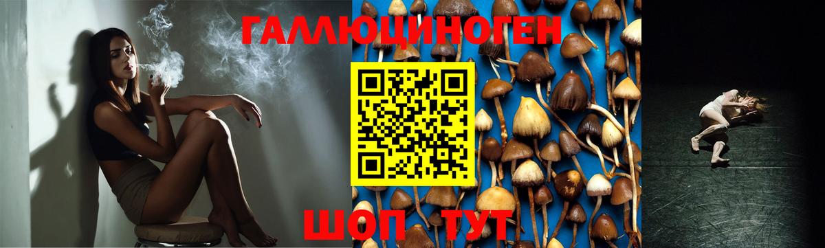 Метамфетамин  LSD-25  Вход с VPN  Меф   MDMA  ГАШИШ  Марихуана  Фурманов  Кокаин 